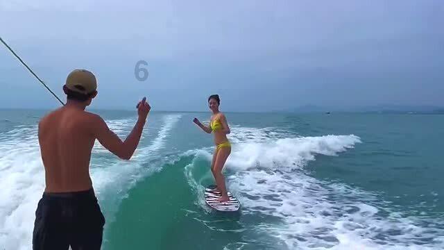 破碎的动物图形